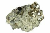 Pyrite Crystals in Matrix - Nærsnes, Norway #177275-1